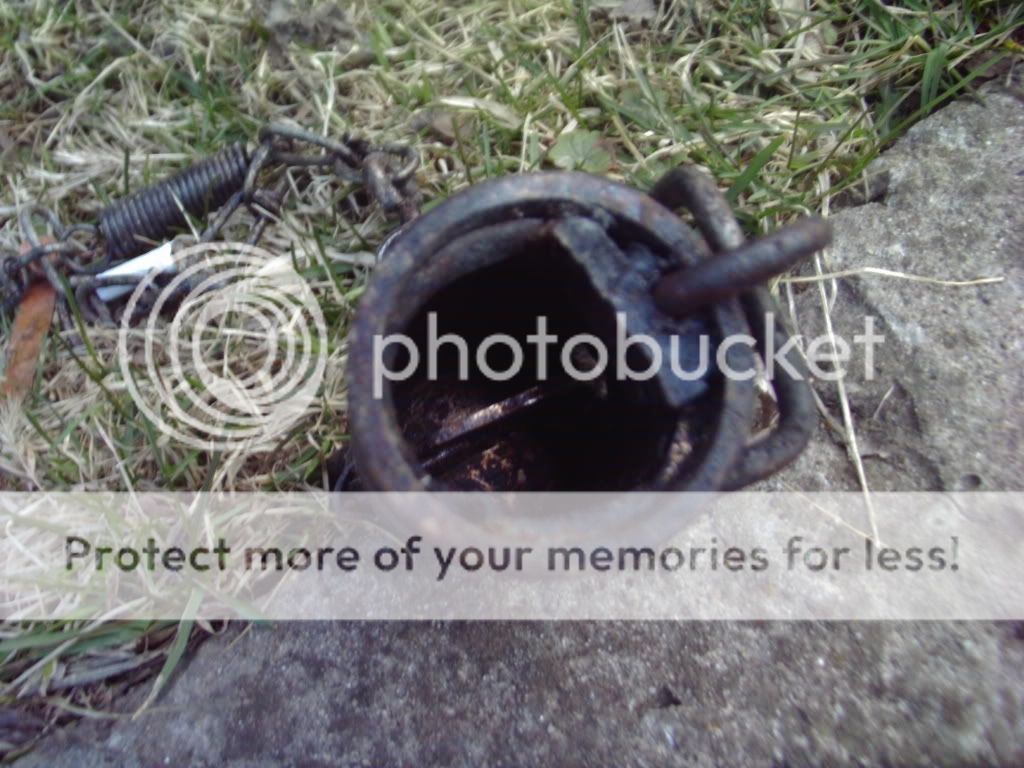 Dog proof traps The Ohio Outdoors